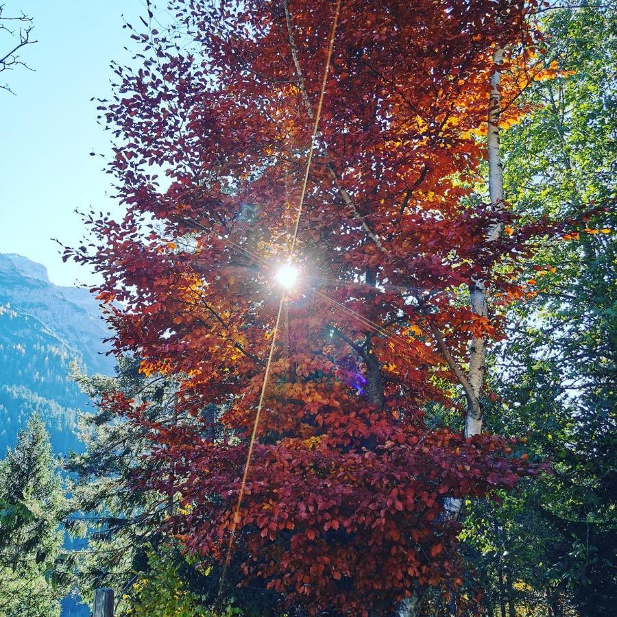 Ferienhaus Hochvogel Hinterhornbach Exteriör bild